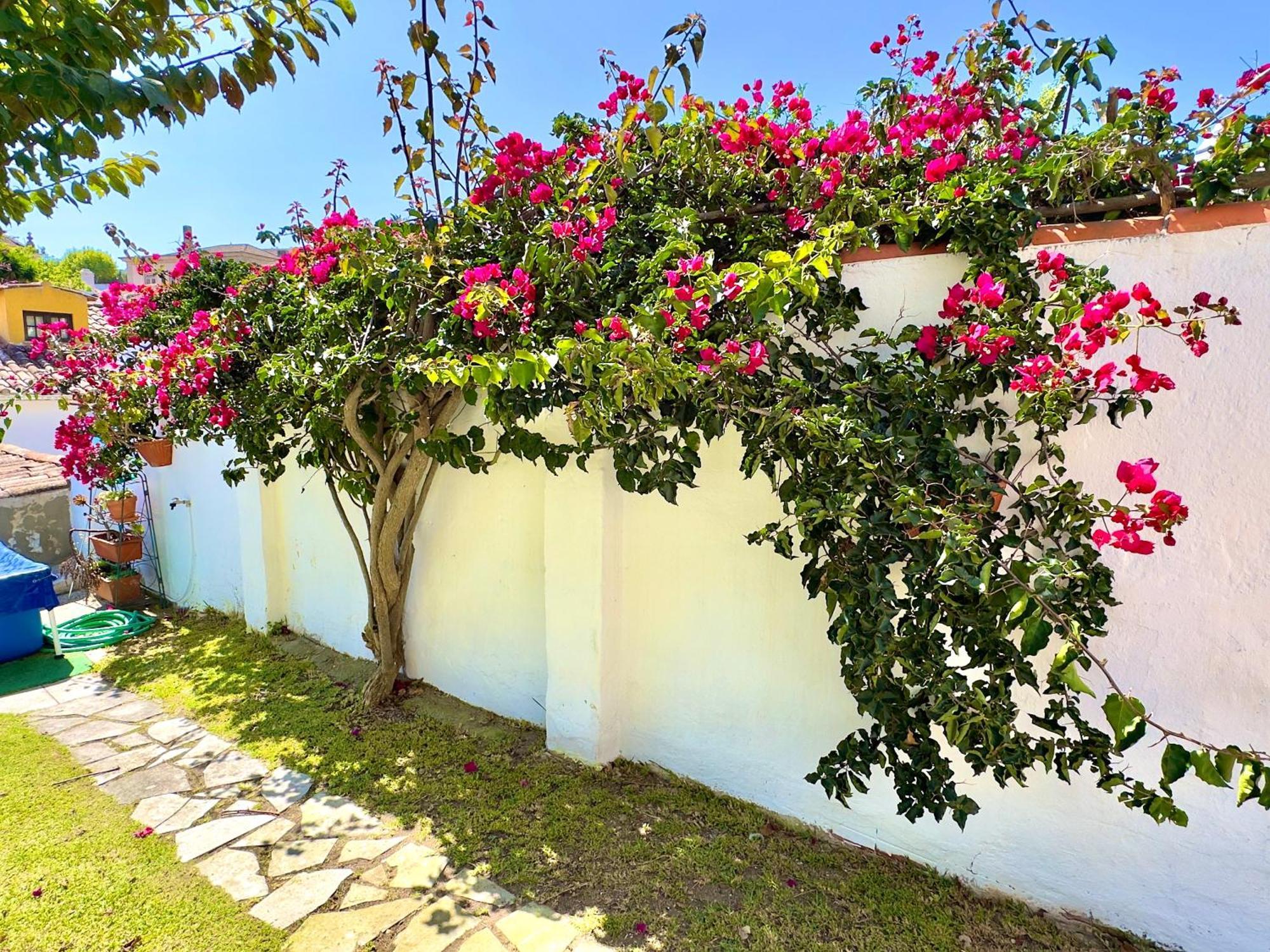 Casa Do Candeeiro Obidos Exterior photo
